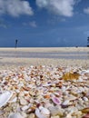 Pebble and seashells are washed to the beach of lakshadweep Royalty Free Stock Photo