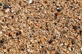 Pebble. shingle. Natural texture