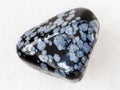 pebble of snowflake obsidian gem stone on white Royalty Free Stock Photo