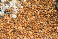 Pebble stone background Royalty Free Stock Photo