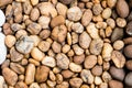Pebble stone background Royalty Free Stock Photo