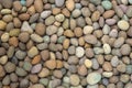 Pebble stone background, small Scree in garden with difference color, abstract background