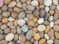 Pebble stone background, small Scree in garden with difference color, abstract background