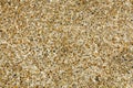 Pebble stone floor tile seamless background. Cement mixed gravel pebble stone floor texture. Royalty Free Stock Photo