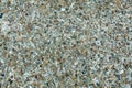 Pebble stone floor tile seamless background. Cement mixed gravel pebble stone floor texture. Wet round pebble stone rock floor in Royalty Free Stock Photo