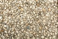 Pebble stone floor tile seamless background. Cement mixed gravel pebble stone floor texture. Wet round pebble stone rock floor in Royalty Free Stock Photo