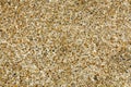 Pebble stone floor tile seamless background. Cement mixed gravel pebble stone floor texture. Wet round pebble stone rock floor in Royalty Free Stock Photo
