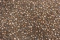 Pebble stone flooring pavement texture background Royalty Free Stock Photo