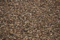 Pebble stone background texture. Pile of pebbles. Royalty Free Stock Photo