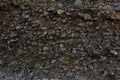 Pebble stone texture near the sea on the rocks