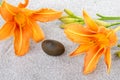 Pebble stone between two orange lily flowers on gray sand Royalty Free Stock Photo