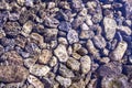 Pebble stone underwater close-up in sunlight. Natural background