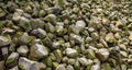 Pebble stones abstract background