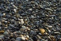 pebble stones on the sea beach, the rolling waves of the sea with foam