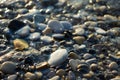 pebble stones on the sea beach, the rolling waves of the sea with foam