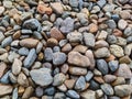 Pebble stones of shingle beach in close up for background Royalty Free Stock Photo