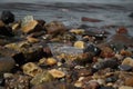 Pebble stones on the shore close up in the blurry distance background. Natural background Royalty Free Stock Photo