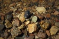Pebble stones on the shore close up in the blurry distance background. Natural background Royalty Free Stock Photo