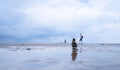 Pebble tower by seaside with blurry seascape, Stack of Zen rock stones on the sand, Stones pyramid on the beach symbolizing, Royalty Free Stock Photo