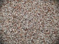 Pebble Wall Background Royalty Free Stock Photo