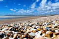 Pebbled Beach Royalty Free Stock Photo