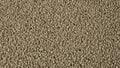 4K Pebbledash PBR Surface Texture Royalty Free Stock Photo