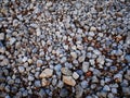 Field of medium gray stones Royalty Free Stock Photo