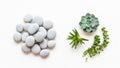Pebbles arranged in a cluster are beside three types of succ Royalty Free Stock Photo