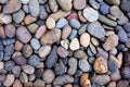 Pebbles background. Gravel background. Colorful pebbles background