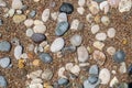 Pebbles background image. Rounded different size and color pebbles at beach side.