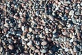 Pebbles background Royalty Free Stock Photo