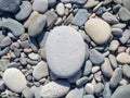 Pebbles on the beach. Background from stones. One large stone in the background of small ones Royalty Free Stock Photo