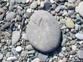 Pebbles on the beach. Background from stones. One large stone in the background of small ones Royalty Free Stock Photo