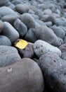 Pebbles on the Beach at Loch Rannoch