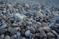 Pebbles on a Beach at Sunset Royalty Free Stock Photo