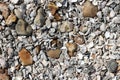 Pebbles and broken shells on a shingle beach Royalty Free Stock Photo