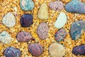 Pebbles on coquina shells