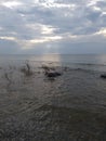 Pebbles details wood Water sea waves beach sand pebbles