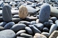 Pebbles of different colors on a rocky beach. Royalty Free Stock Photo