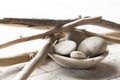 Pebbles with drift wood for mineral spa treatment Royalty Free Stock Photo