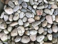Pebbles in the garden. Royalty Free Stock Photo