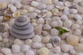 Pebbles lined with pyramid on the background of seashells