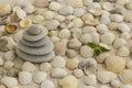 Pebbles lined with pyramid on the background of seashells