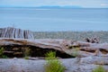 Pebbles and logs: Oyster River Nature Park, Campbell River, BC