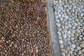 Pebbles mosaic