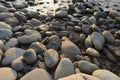 Pebbles in the mountain river