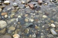 Pebbles in the mountain river