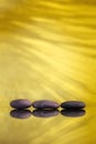 Pebbles, palm leaf, reflection. Calm and relax concept Royalty Free Stock Photo