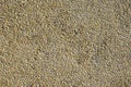 Pebbles pathway pattern in concrete, Background of floor tiles