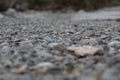 Pebbles, pattern, abstract, gray background wallpaper texture Royalty Free Stock Photo